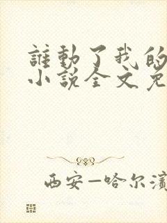 谁动了我的老婆小说全文免费阅读一