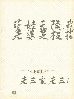 萌娃天降,我的老婆是校花短剧资源