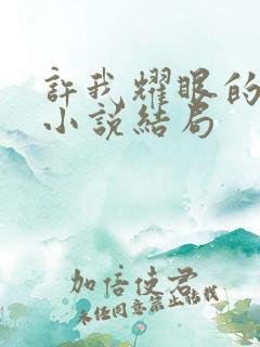 许我耀眼的原著小说结局