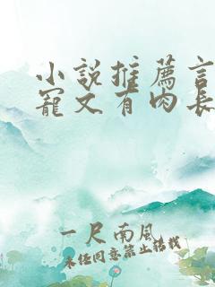 小说推荐言情甜宠文有肉长篇