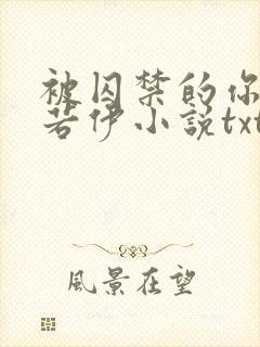 被囚禁的你潼恩若伊小说txt