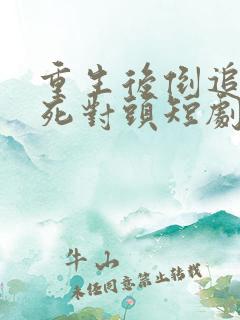 重生后倒追渣男死对头短剧