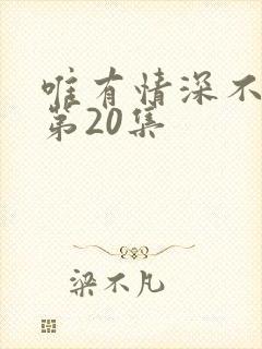 唯有情深不可负第20集