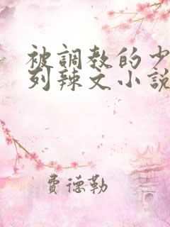 被调教的少妇系列辣文小说