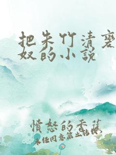 把朱竹清变成朱奴的小说