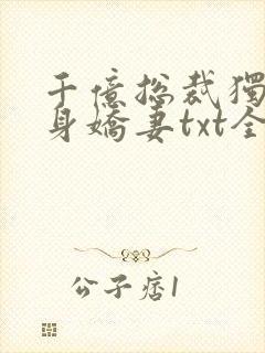 千亿总裁独宠替身娇妻txt全文下载 完整版