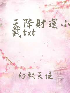 天降财运小说下载txt