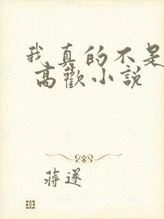 我真的不是重生 高欢小说