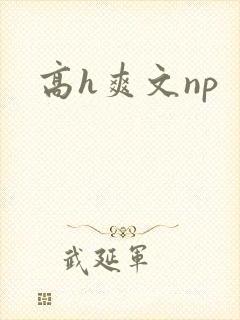 高h爽文np