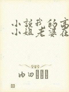 小说我的高冷大小姐老婆在线观看