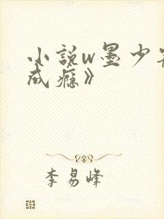小说w墨少宠妻成瘾》