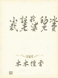 小说我的冰山总裁老婆免费阅读