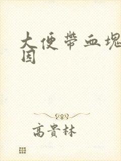 大便带血块的原因