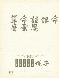 算命说银命是什么意思