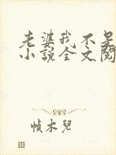 老婆我不是傻子小说全文阅读