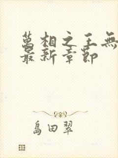 万相之王无弹窗最新章节