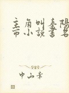 主角叫秦阳的都市小说书名