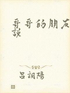 哥哥的朋友h小说