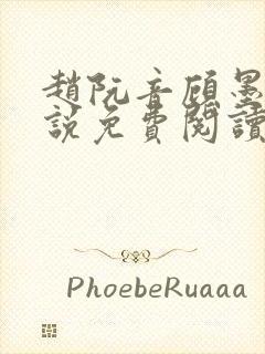 赵阮音顾墨淮小说免费阅读最新章节