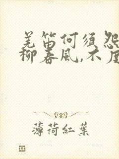 羌笛何须怨,杨柳春风,不度玉门关