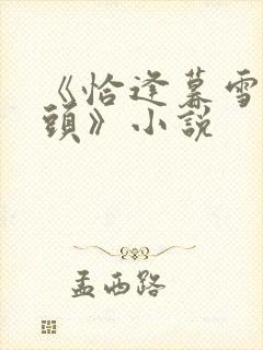 《恰逢暮雪亦白头》小说