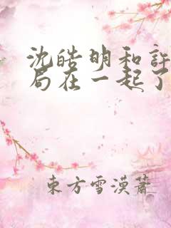 沈皓明和许妍结局在一起了吗