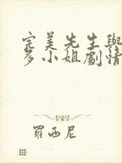 完美先生与差不多小姐剧情介绍