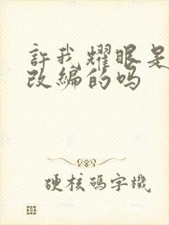 许我耀眼是小说改编的吗