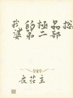 我的极品总裁老婆第二部