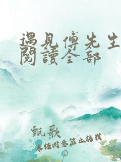 遇见傅先生免费阅读全部