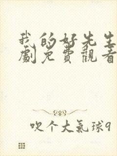 我的好先生电视剧免费观看