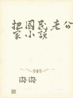 把国民老公带回家小说