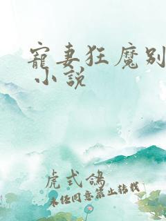 宠妻狂魔别太坏 小说