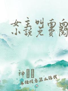 女主叫南向晚的小说免费阅读