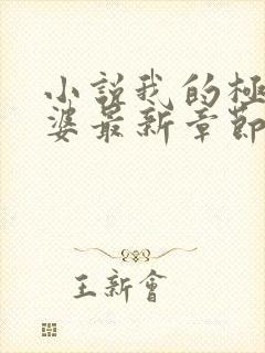 小说我的极品老婆最新章节