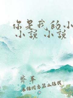 你是我的小确幸 小说 小说