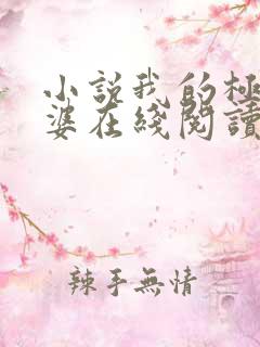 小说我的极品老婆在线阅读