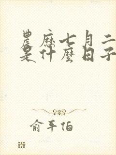 农历七月二十八是什么日子好不好