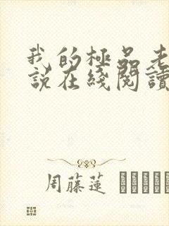 我的极品老婆小说在线阅读