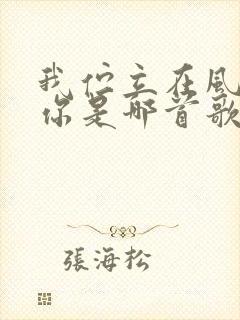 我伫立在风中想你是哪首歌