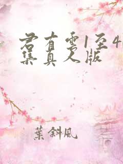 君有云1至40集真人版