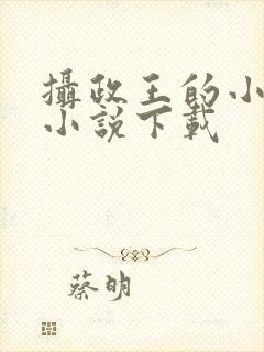 摄政王的小闲妻小说下载