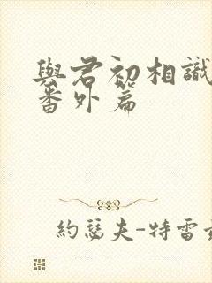 与君初相识小说番外篇