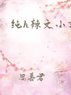 纯h辣文小说
