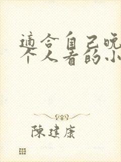 适合自己晚上一个人看的小说