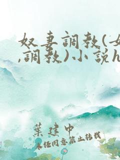 奴妻调教(女m,调教)小说hhh