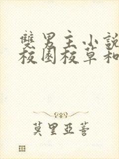 双男主小说推荐校园校草和校霸