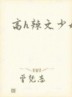 高h辣文少妇