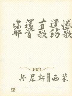 你还有遗憾吗是哪首歌的歌词