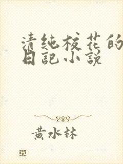 清纯校花的堕落日记小说
